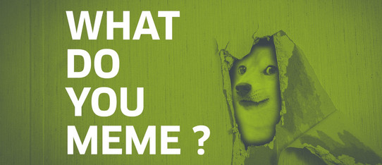 "What do you meme" Schriftzug und ein Hund guckt durch die Wand