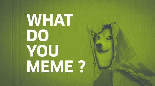 "What do you meme" Schriftzug und ein Hund guckt durch die Wand