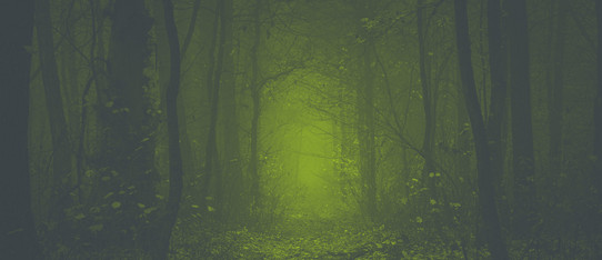 dunkler Wald aus dem ein grünes Licht scheint