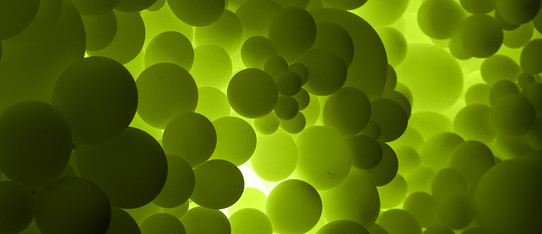 Filterblase – abstrakte Darstellung grüner Kreise
