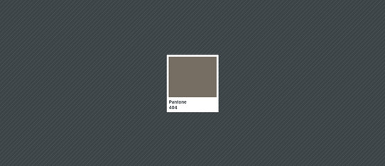 Die Pantone-Farbe 404